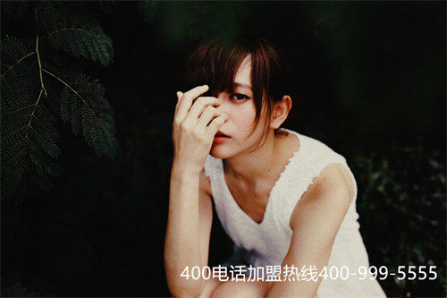 (400電話辦理選號(hào)平臺(tái))(400電話號(hào)碼如何選號(hào))