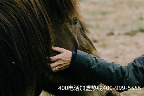 (安裝400電話,優質400電話服務器)(安裝400，辦理400電話詳細解釋)