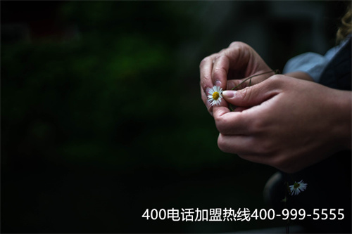 (哪些公司有400電話服務)(400電話是什么公司辦理怎么查詢)